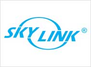Skylink Logo